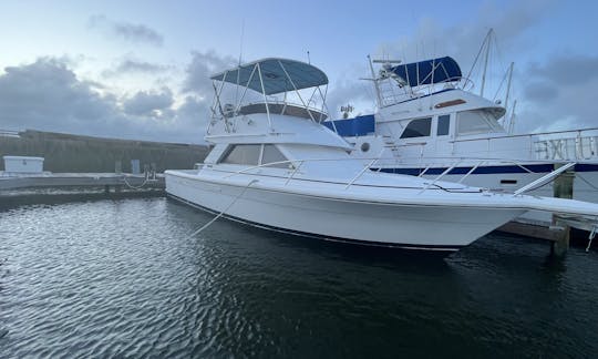 36ft Phoenix Sportfishing Yacht! Cruising from North Padre Island to Port Aransas