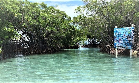 Explore the best shallow reefs in Parguera