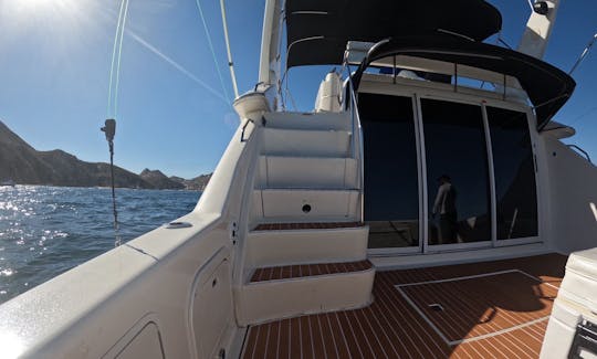 Private VIP Ocean Tours Of Cabo San Lucas and the Amazing bays and sights