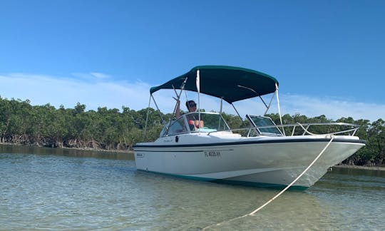 17' Boston Whaler Bowrider for 4 People in New Smyrna