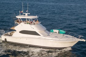 47 Riviera Yacht Cruising Party, Fishing, Swimming, Whale Watching, Sunset Lux.