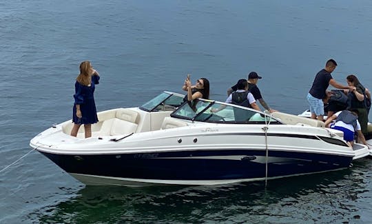 24ft Sea Ray Bowrider for rent in Mississauga