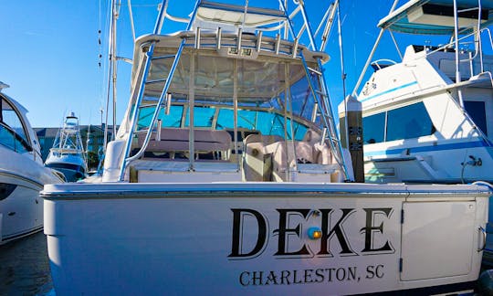 36' Bertram Express Sportfisher Harbor Cruise in Charleston, South Carolina