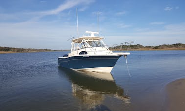 Grady White Marlin Motor Yacht Rental in Cedar Point, North Carolina