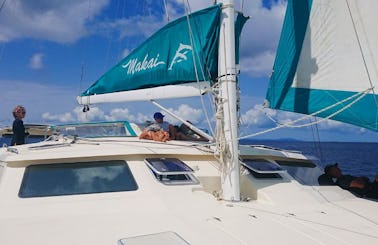 ECO ⛵️ SAILING Catamaran Trips 🇵🇷 Puerto Rico Islands