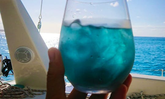 HERBAL ICE TEA.. BLUE? OR YELLOW? 😉
PUERTO RICO PRODUCT - ORGANIC!