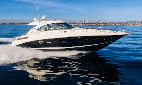 Beautiful Luxury sport yacht