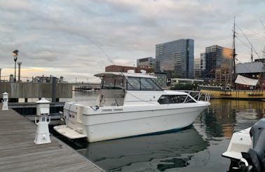 29ft Bayliner Cierra Motor Yacht for rent in Boston, Massachusetts
