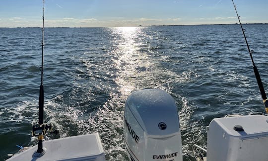 Proline 23ft Center Console Fishing Boat for Charter in Suffolk