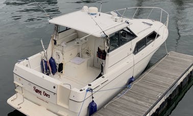 29ft Bayliner Cierra Motor Yacht for rent in Boston, Massachusetts