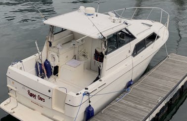 29ft Bayliner Cierra Motor Yacht for rent in Boston, Massachusetts