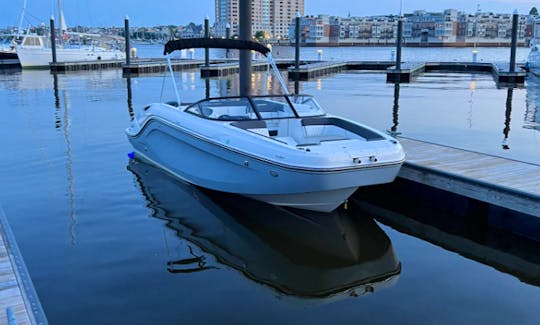 Brand new Bayliner DX2200 Boat Rental in Baltimore, Maryland