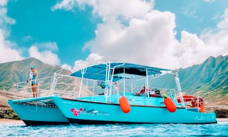 Private Charter Swim with Dolphins, Turtles, and Exotic Fish on the Island Princess - Wai‘anae