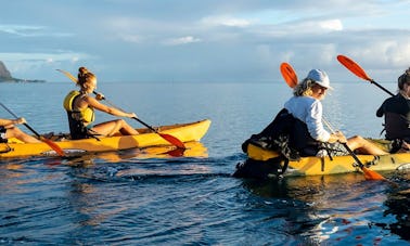 Aventura autoguiada en kayak en el arrecife de coral de la bahía de Kaneohe