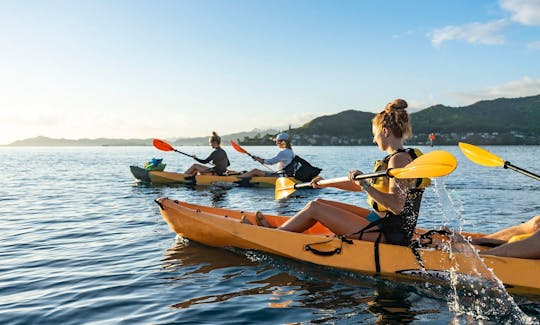 Kaneohe Bay Coral Reef Self-Guided Kayaking Adventure