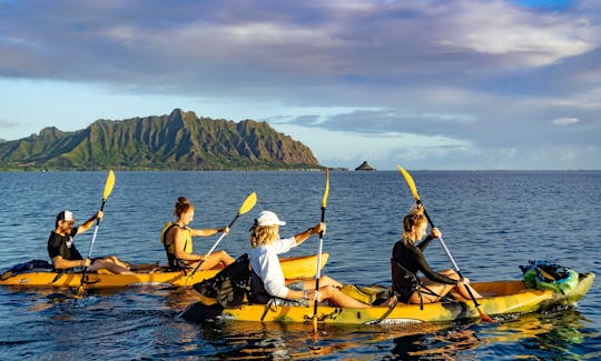 Kaneohe Bay Coral Reef Self-Guided Kayaking Adventure