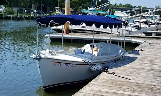 Duffy Electric Boat Rental in Norfolk, Virginia