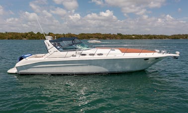 45´ Sea Ray Express Cruiser. Luxury Yacht in Aventura, North Miami.