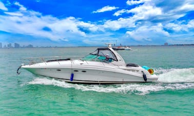 Iate a motor Sea Ray para 10 pessoas em North Bay Village