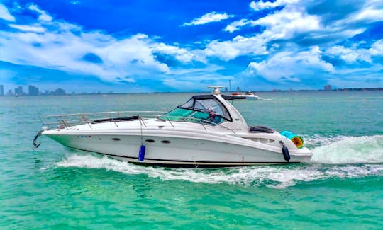 Sea Ray Motor Yacht for 10 people in North Bay Village