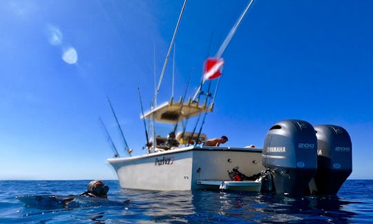 Recorre la playa de Wrightsville y las islas circundantes con el capitán Drew