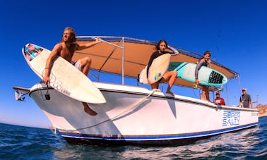 Safári de surf de barco em San José del Cabo, Baja California Sur