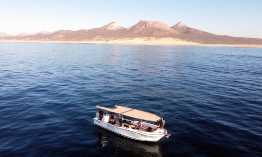 Private Mobula Ray Snorkel: San Jose del Cabo, BCS