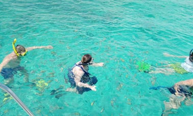 Mergulhe com snorkel, nade com tartarugas e um dia na praia!