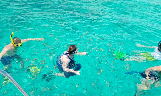 Snorkel, Swim with Turtles & Beach Day!