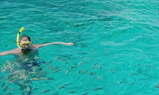 Snorkeling & Swim with the Turtles