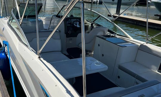 Alquiler de SeaRay Bowrider de 30 pies en Puerto Vallarta