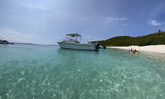 30ft Grady White Boat Trips/Charters in Fajardo