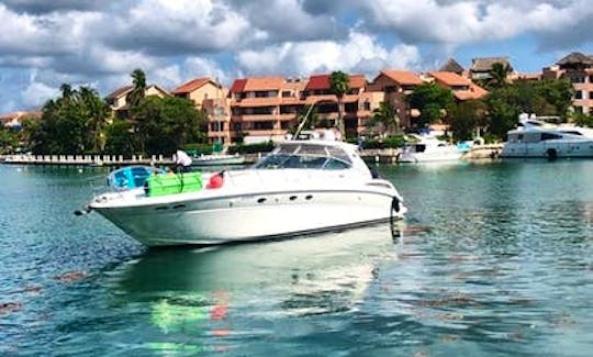 Charter the 55ft Searay Motor Yacht in  Tulum, Quintana Roo.