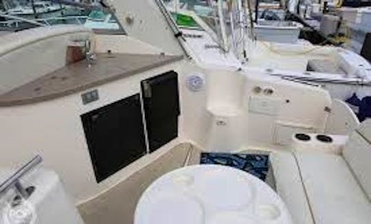 37ft Rinker Motor Yacht Available On Lake Travis!   Blue Mind Charters