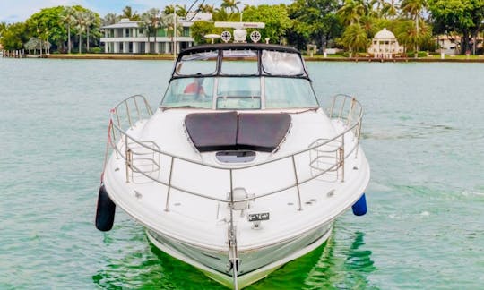 Sea Ray Motor Yacht for 10 people in North Bay Village