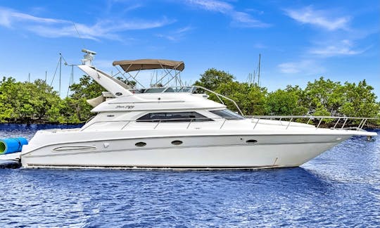Luxury 55' Express Bridge, perfect for Great Time in Miami!