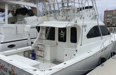 35 ft Luhrs Private Charter in Tarpon Springs