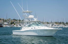 35' Cabo Express Power Yacht in Fajardo (perfect for large groups & families!)
