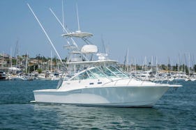 35' Cabo Express Power Yacht in Fajardo (perfect for large groups & families!)