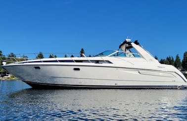 Beautiful and Spacious 43 ft Avanti Euro Express with Custom Sound System!