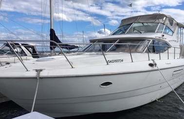 **VIP** Best Deal Of The Month!!!! Amazing Cruiser's Yacht in Downtown Toronto