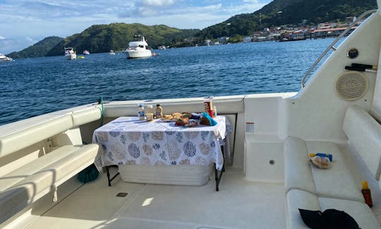 Luxury 45ft Tiara Motor Yacht in Panama, Panama