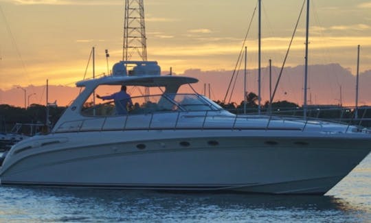 54ft Searay Motor Yacht Rental in North Bay Village, Florida