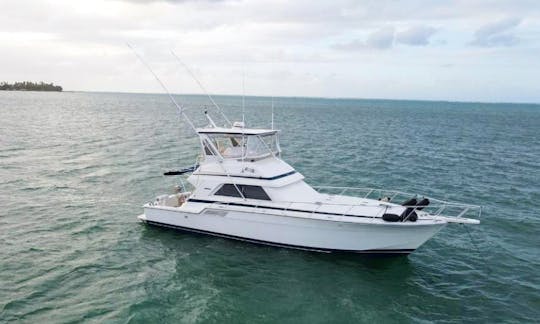 46' Bertram in Port of Spain, Trinidad