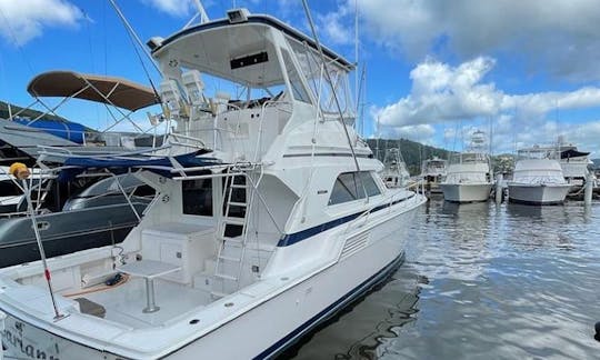 46' Bertram in Port of Spain, Trinidad