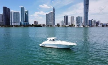 💥 Partez à l'eau avec style Sea Ray Sundancer de 42 pieds pouvant accueillir jusqu'à 12 personnes en FLL