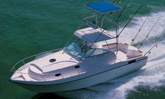 Gulf Craft Sport Fishing SF 35 Yacht Rental in Beirut, Beirut Governorate