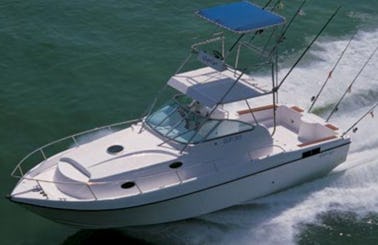 Gulf Craft Sport Fishing SF 35 Yacht Rental in Beirut, Beirut Governorate