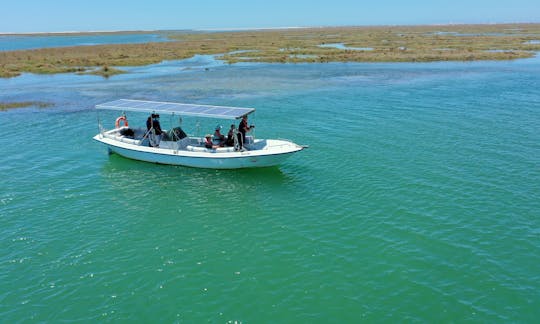 2H Birdwatching in Solar Boat Ria Formosa in Faro, Portugal