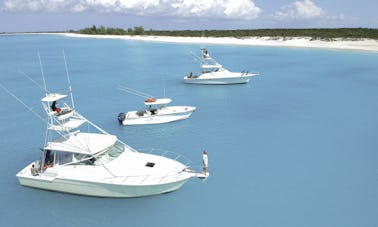 Half Day Deep Sea Fishing Charter on "Angler Management" Turks & Caicos Islands